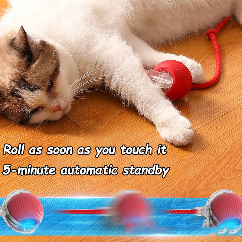 Balle roulante automatique pour chat