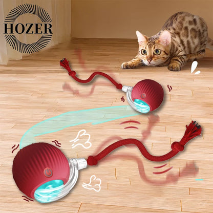 Balle roulante automatique pour chat