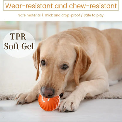 Interactive electronic pet ball