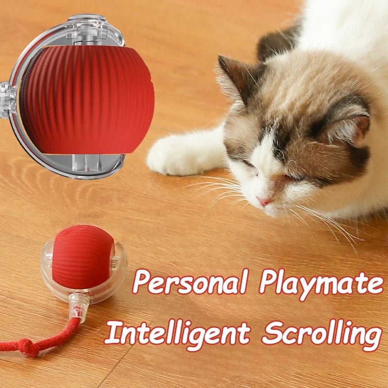 Balle roulante automatique pour chat
