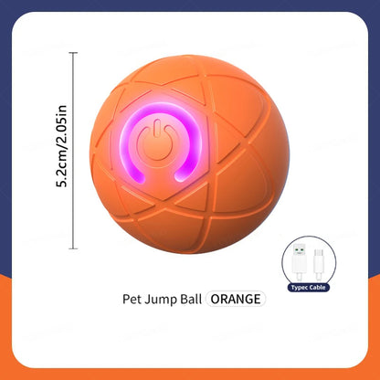 Interactive electronic pet ball