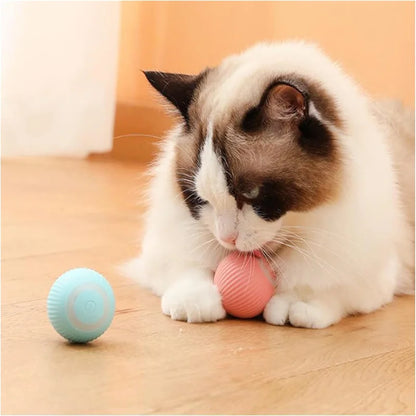 Interactive electronic pet ball