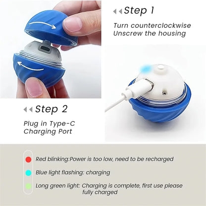 Interactive electronic pet ball